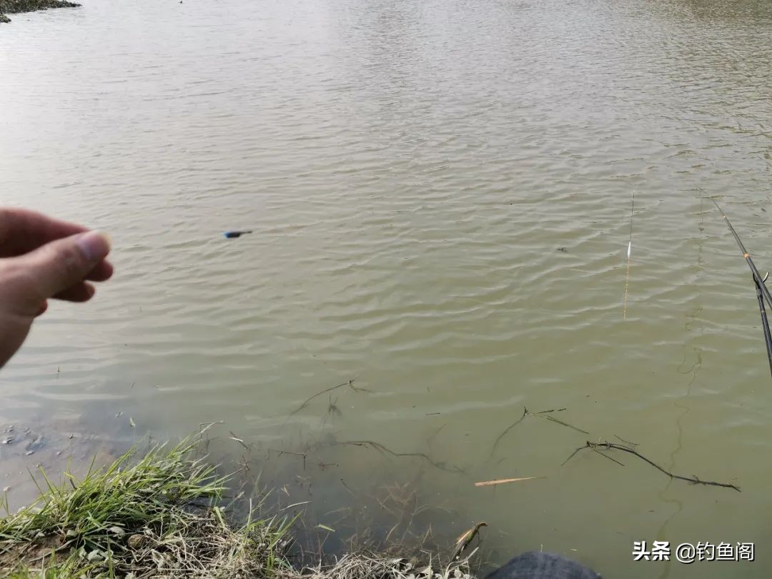 细说野钓用线(野钓用什么线)