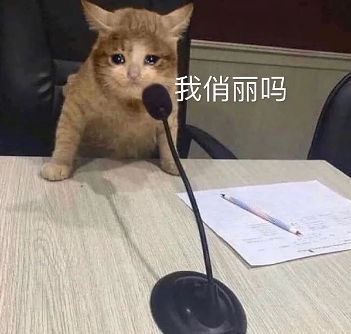 表情包：别睡了小肥猪