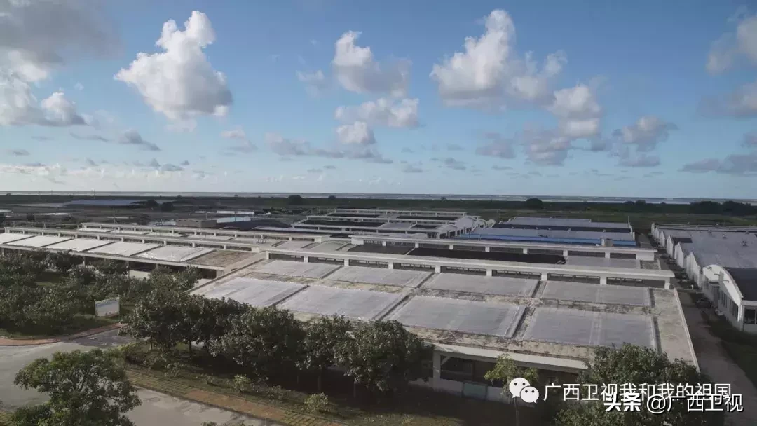 为造地雷浑身是伤，俘虏级别最高国民党将领……他们都是解放广西的英雄