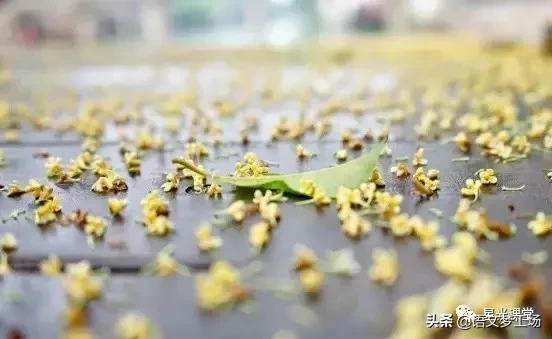 2020年南通中考作文：《那段日子，我忽然长大》