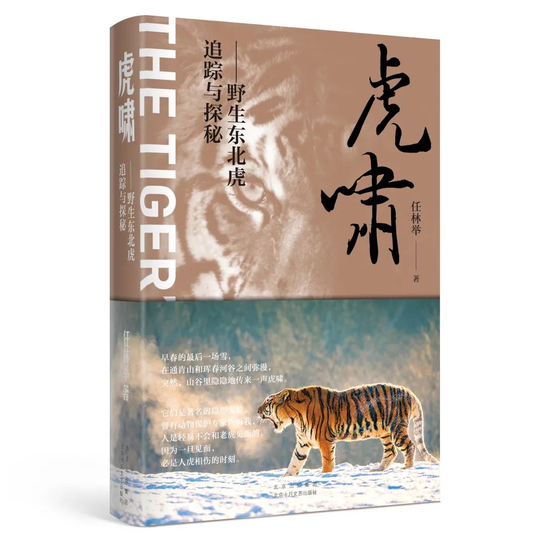 鲁奖作家任林举的新作《虎啸》：揭开野生东北虎的隐秘与传奇
