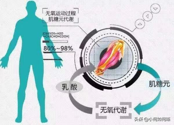 有氧运动和无氧运动的供能区别