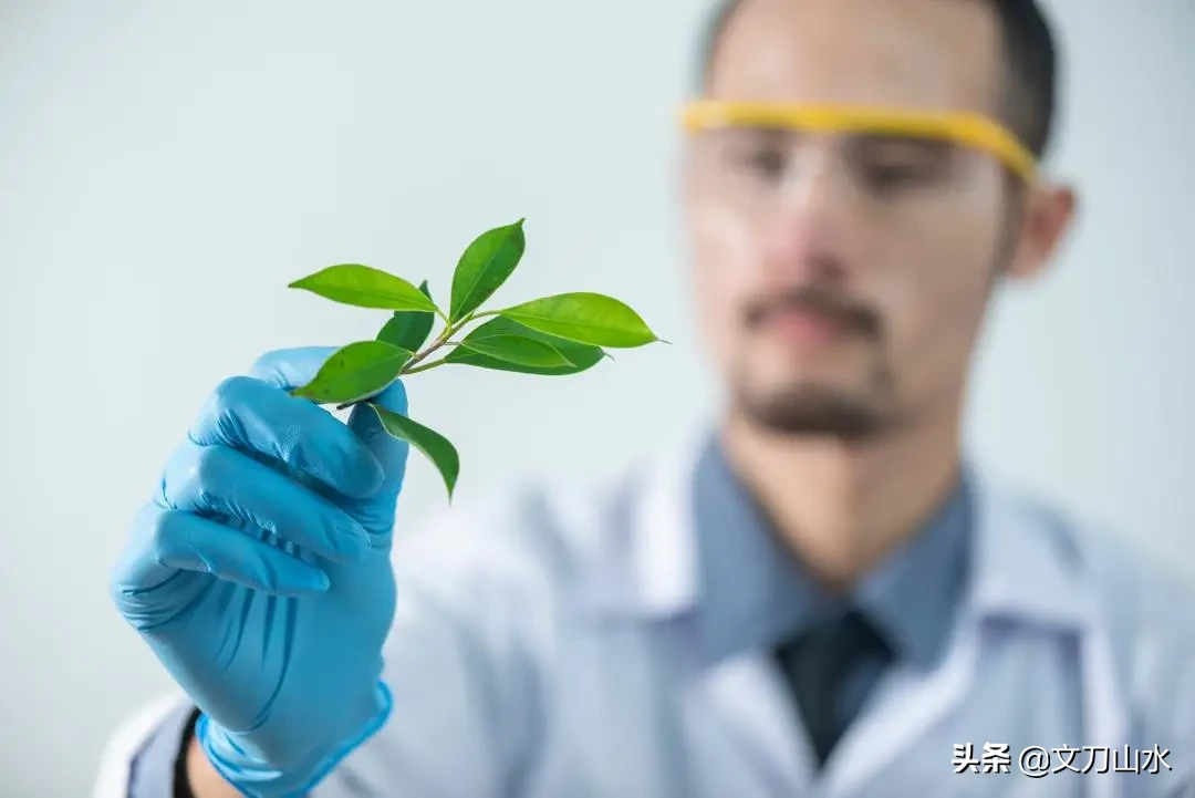 专业解读 | 名场面！你见过上课抽烟的专业吗？