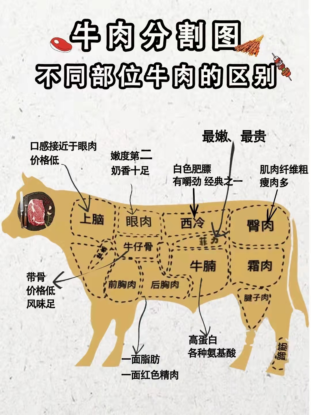 牛的骨骼及关节解析图,分布图,牦牛(第11页)_大山谷图库