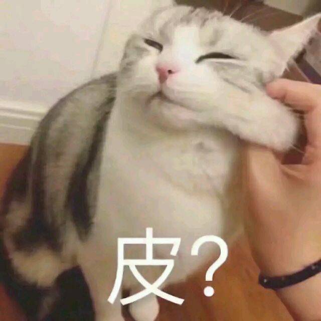 猫咪表情包合集｜笑得露出小虎牙