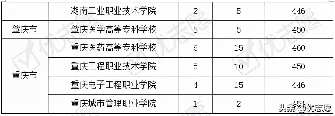 2021年山东本科层次院校的专科专业热度较高，多所北京专科受追捧