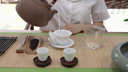 泡茶的方法步骤（盘点当代常用的3种泡茶方法）