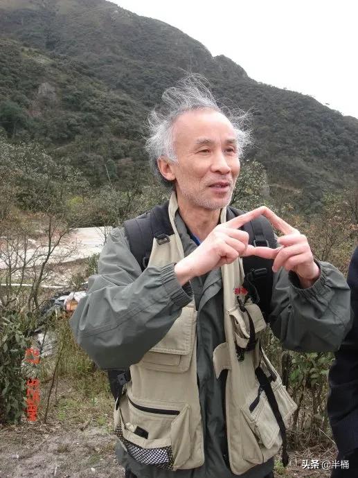 被称为“蛇中熊猫”的莽山烙铁头，凭什么一条价值上百万？