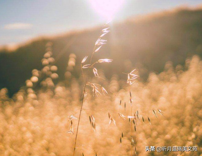 浅秋静好，我在等你