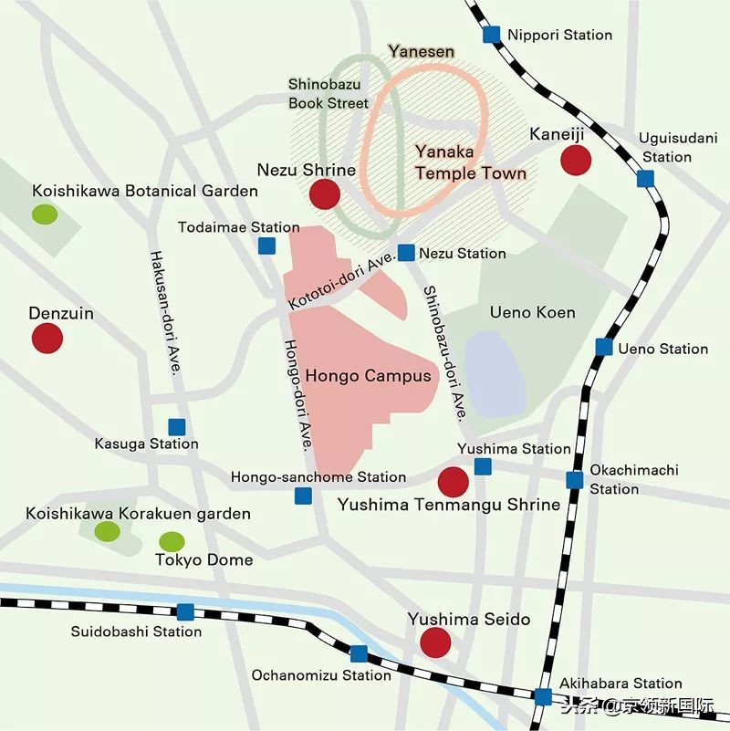 东京大学：历史古都中的现代学府