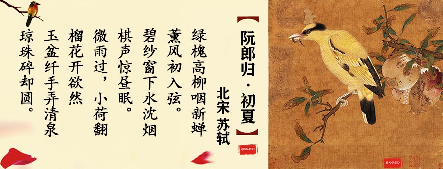 微雨过，小荷翻，榴花开欲燃，赏析古典诗词里的石榴