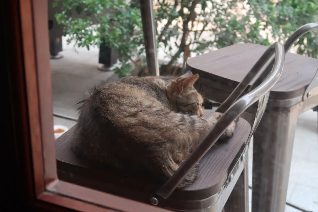 广州48小时：深入荔枝湾，只为吃当地人爱吃的老牌小吃店