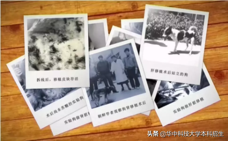 致敬！湖北这位教授：开创我国器官移植先河，临终捐出眼角膜及毕生积蓄百万元！