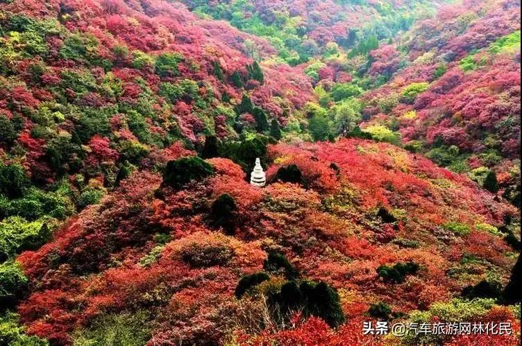 登山揽胜赏红叶，爱在金秋石门坊.北国小江南 l临朐老龙湾