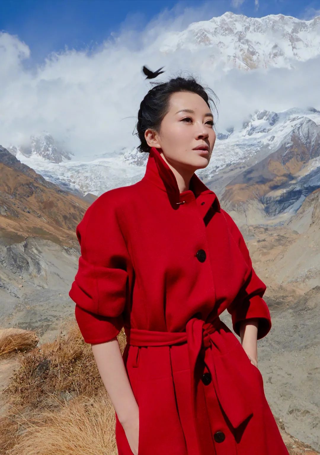 许晴谈华晨宇绯闻("北平之花"许晴的不婚秘史,以及她和张翰华晨宇的