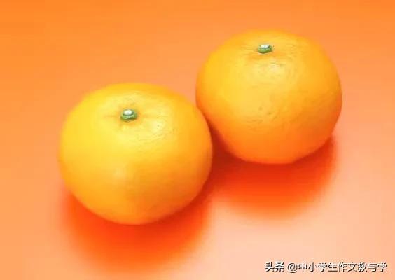 外婆给我的大橘子