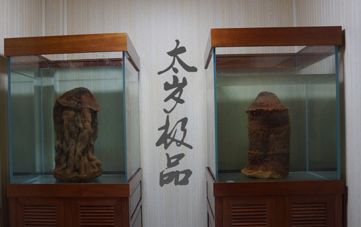 太歲究竟是什么“東西”？我國科學家用精密儀器檢測揭示太歲之謎