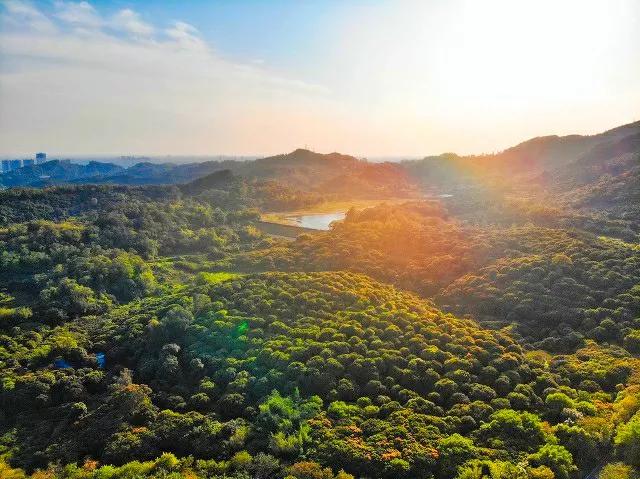 广州12个特色免费景点，周末打卡好去处，地铁直达，你想去哪个？