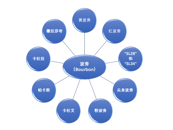 关于咖啡入门，搞懂这篇就足够啦