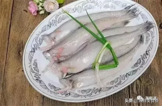 市场常见的102种海鲜，肉质鲜美，营养丰富，你们吃过几种？