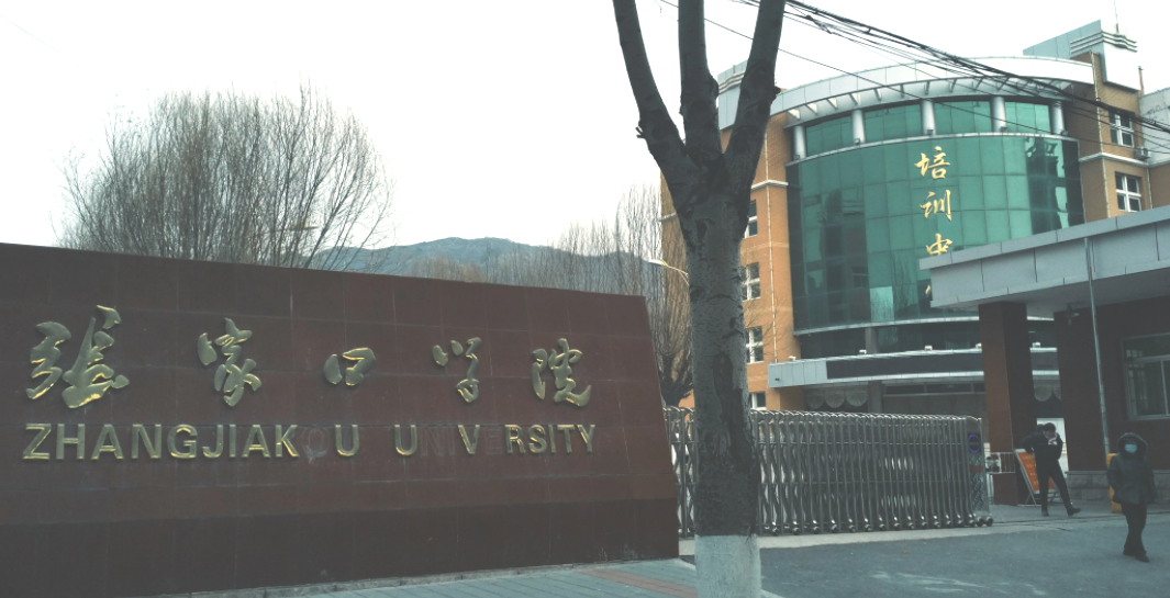 「专业分析丨学前教育」报考人数竟排文史第一