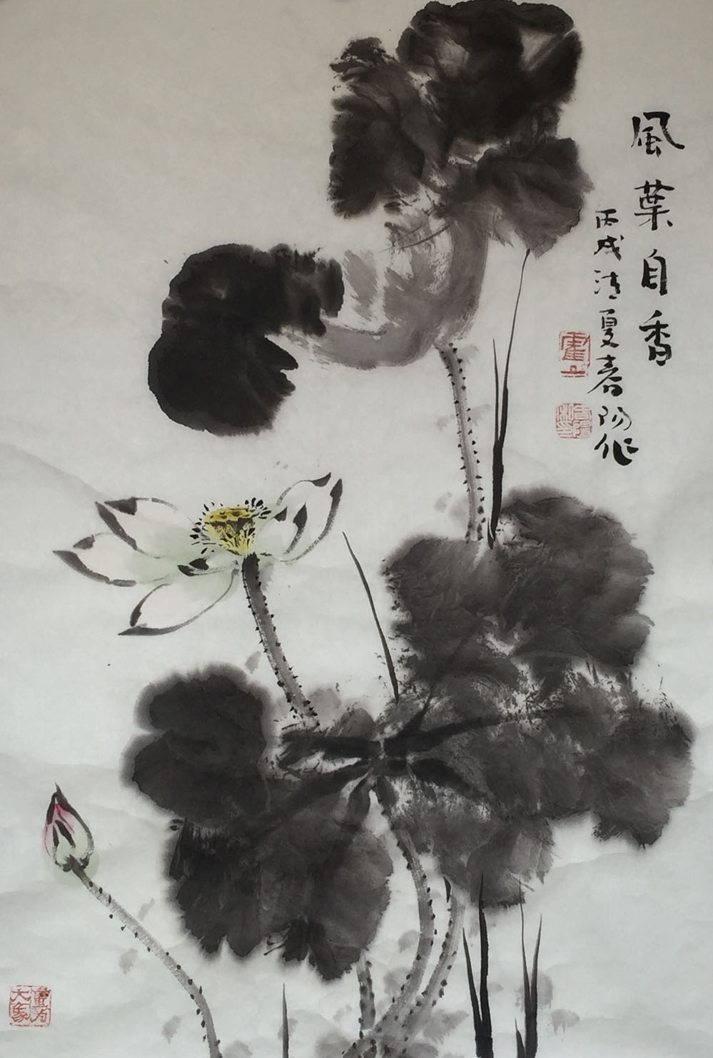 霍春阳荷花(天天漫画网：画家霍春阳《荷花 唯美了整个夏日》)