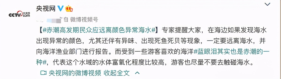 海胆什么人不能吃(日本北海道出现“红色幽灵”，90%海胆死亡，未来5年或无海胆可捞)