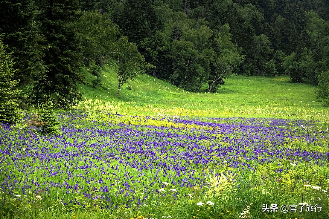 2020盛夏自驾游长白山，地球人都知道的避暑圣地，是中国爱情圣山