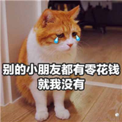 猫咪表情包：什么，你要帮我清空购物车