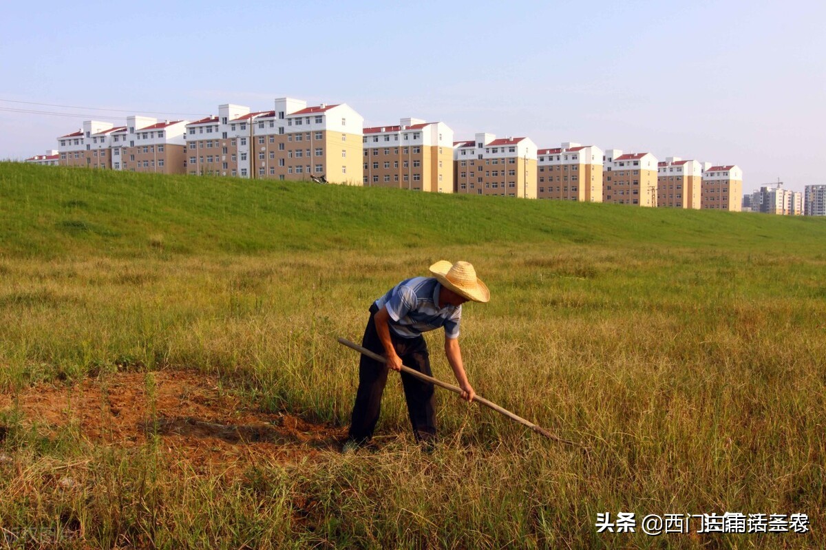 新土地法：土地被征收，被征地农民能够得到哪些补偿？早看早知道