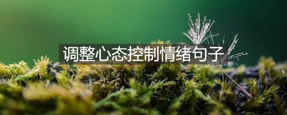 调整心态控制情绪的句子有什么