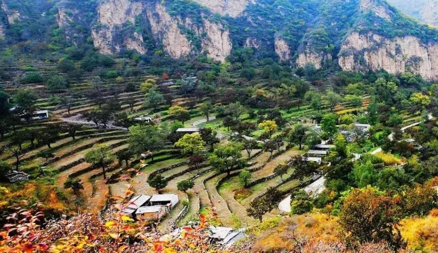 赏秋时节 </p><p>　　 打卡京郊这10条乡村公路，藏着北京最美的秋天