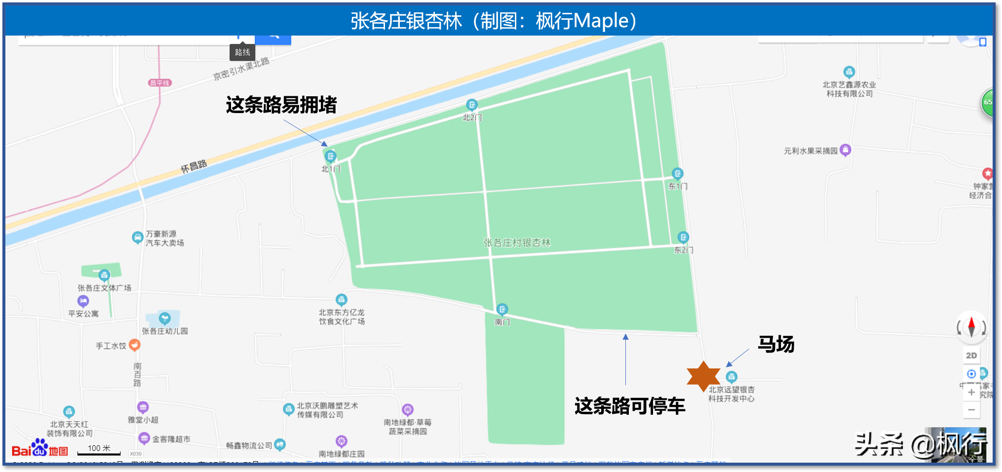 再有半个月，北京将迎来最美的季节，12个银杏宝藏地，附机位攻略