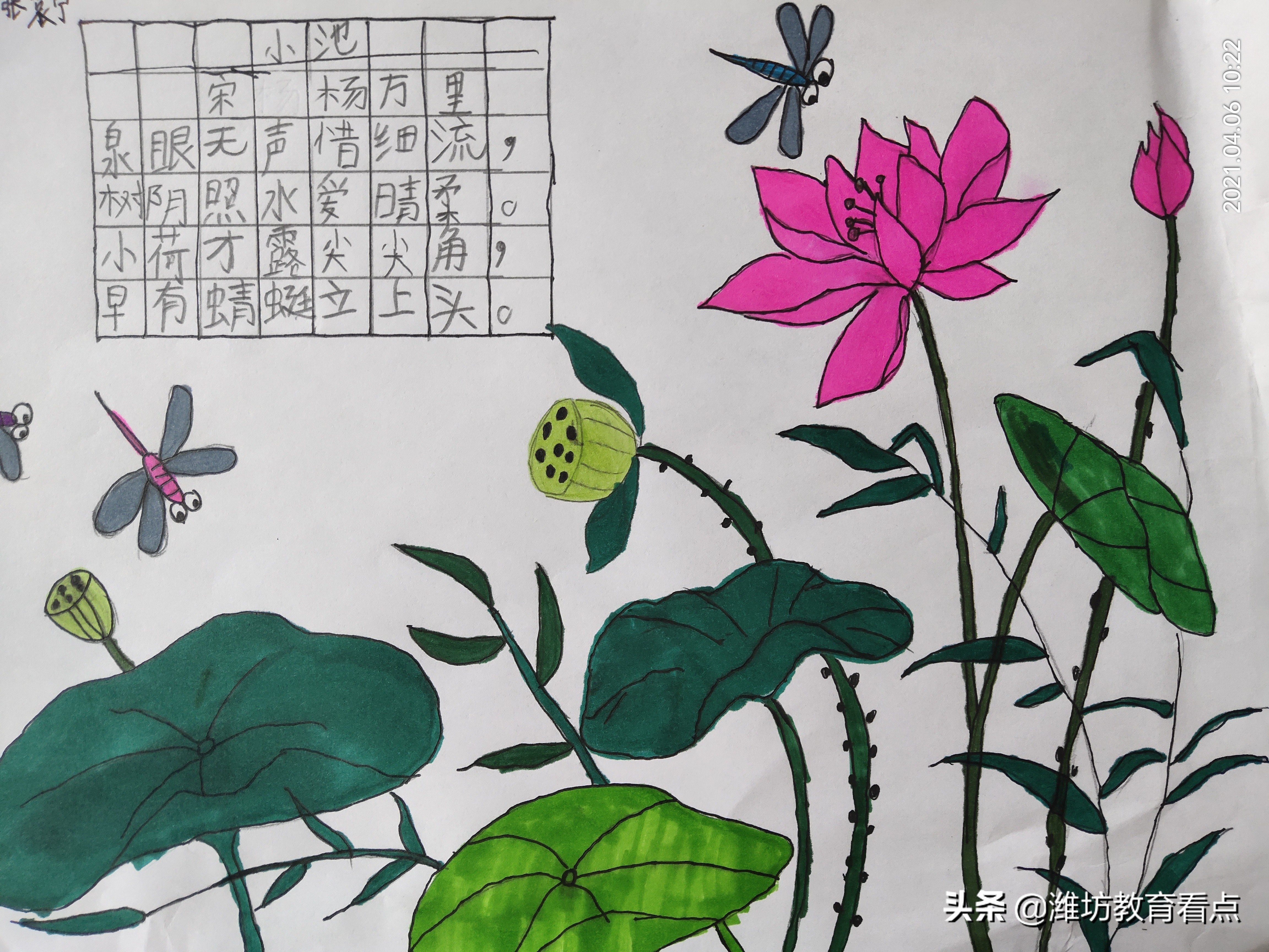 小池古诗配画图片(古诗配画) - 赤虎壹号