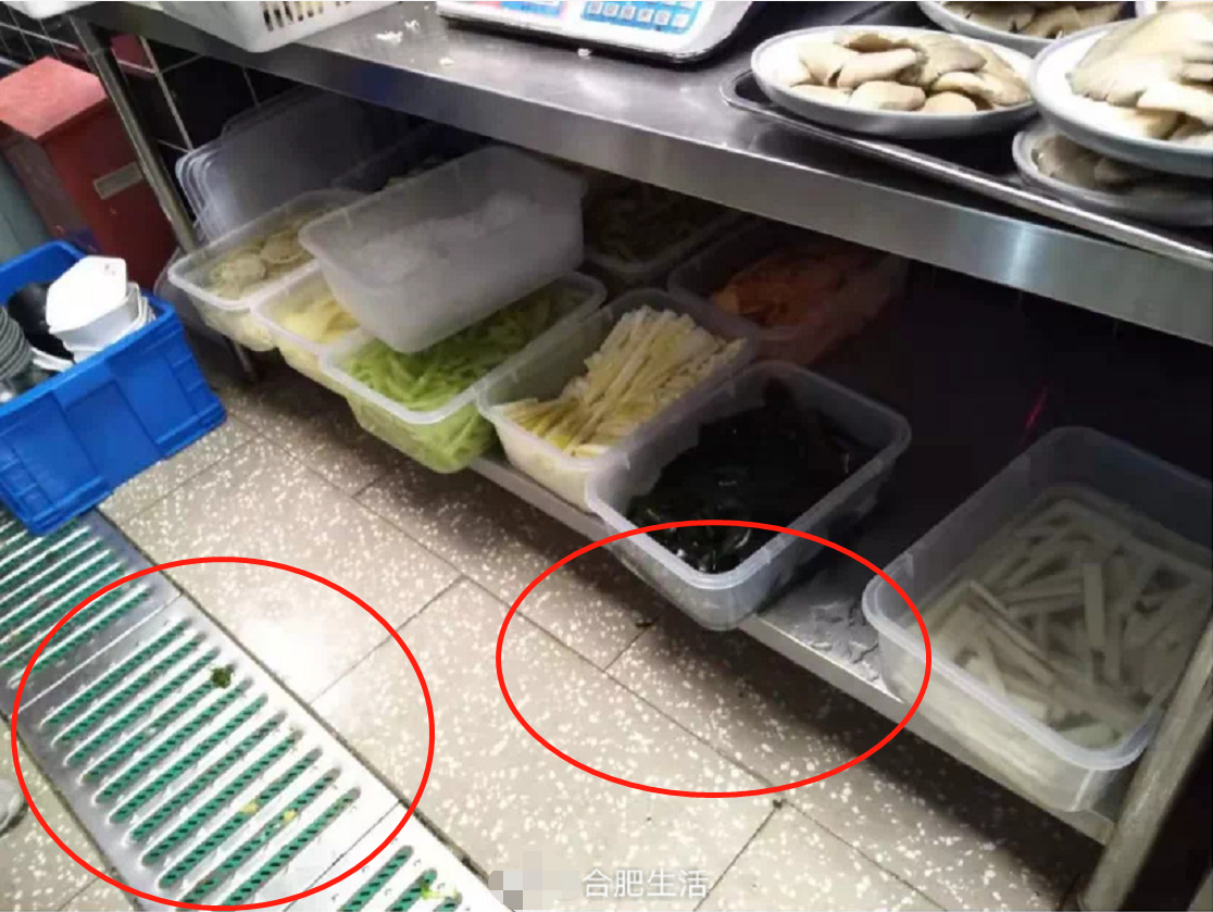 杜海涛火锅店被责令停业！锅中有苍蝇飞舞，后厨脏乱差被指像猪棚