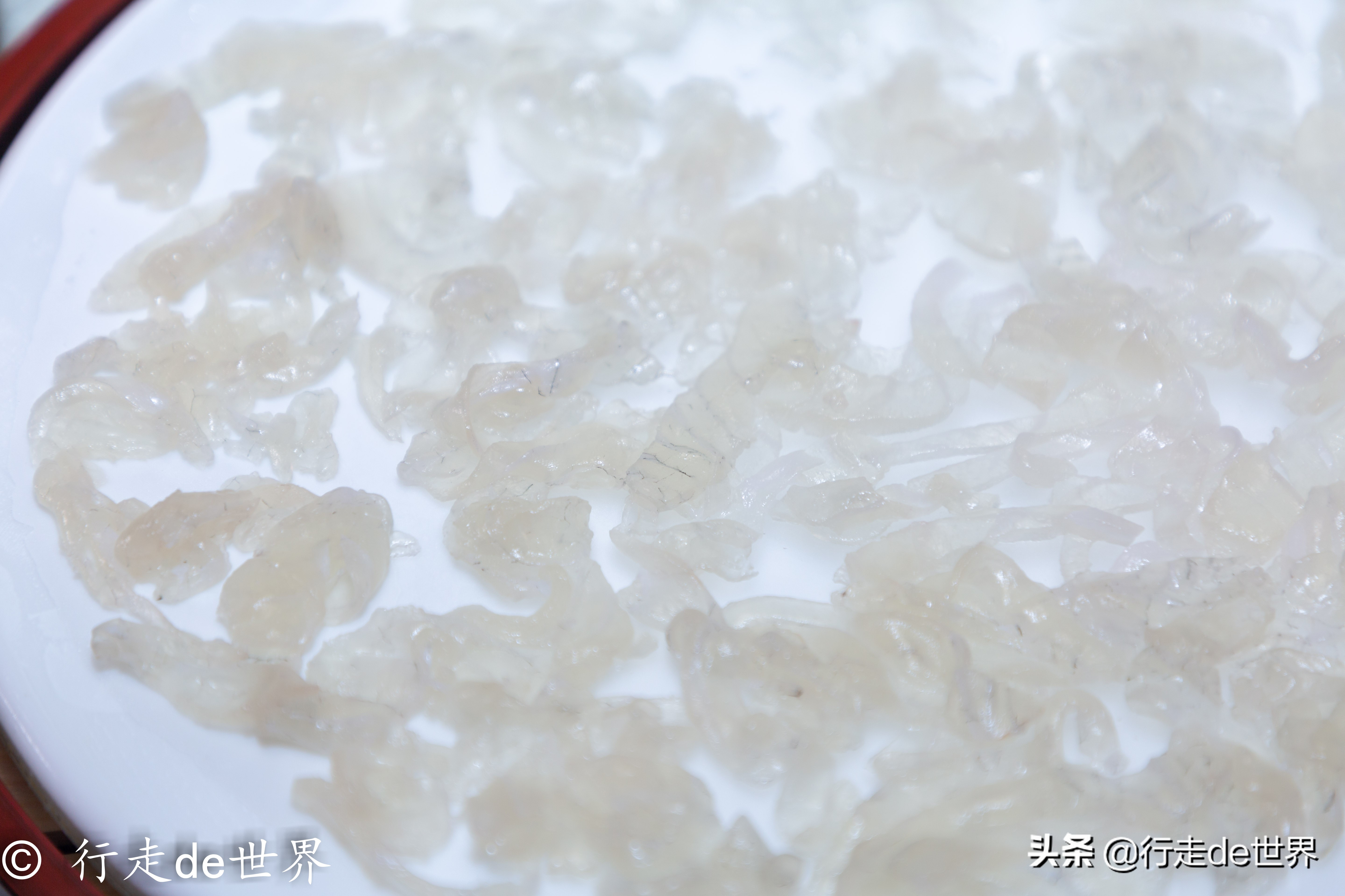 国庆假期相聚顺德，一次性打卡六家餐厅，品味地道顺德味道