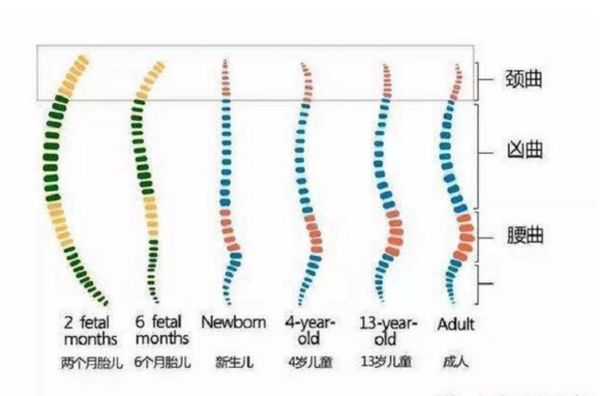 宝宝头型睡扁不要慌，补救扁头有三招，“正确睡姿”父母要了解