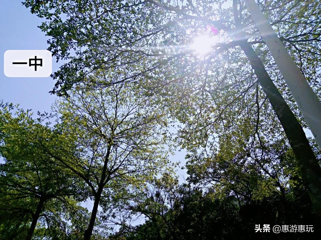 惠州十大最美校园强势来袭，你的母校上榜了吗？