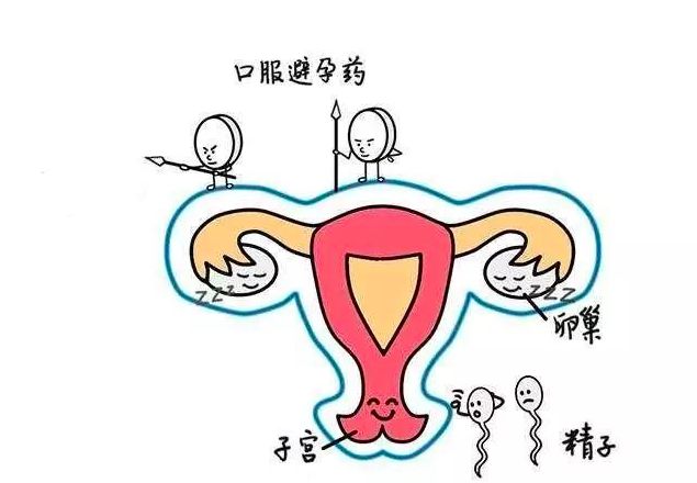 毓婷避孕药副作用(辟谣丨别把紧急避孕药变成后悔药) - 行就行