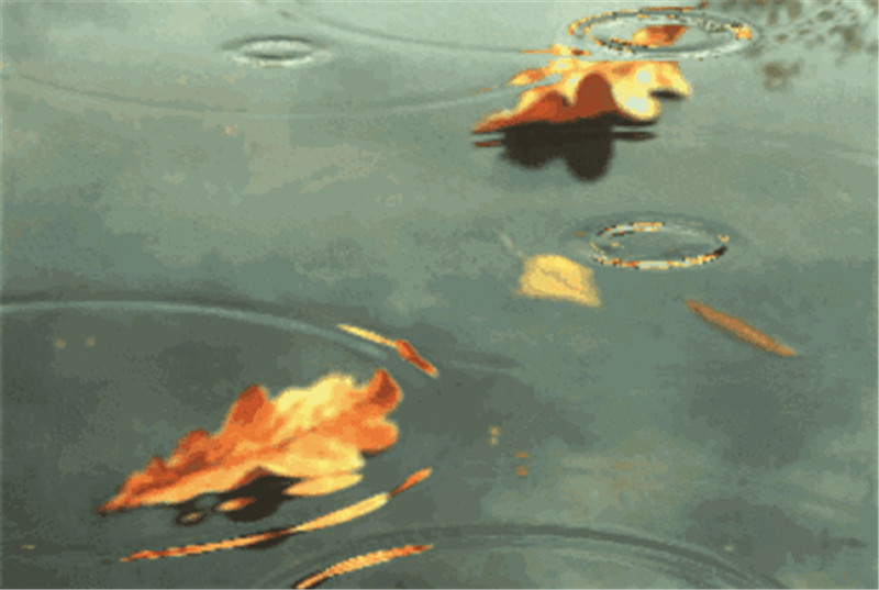 秋雨落到地上，或美丽或忧伤，3首秋雨的诗词，哪首打动你的心？