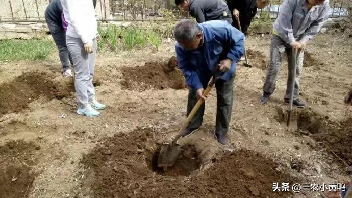 春分后天气还会冷吗（春分已过还有一个坏消息要防备）