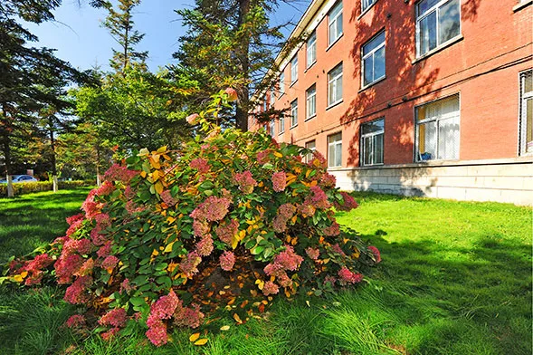 即将截止！吉林医药学院附属医院，招聘医生、护士、康复治疗师等