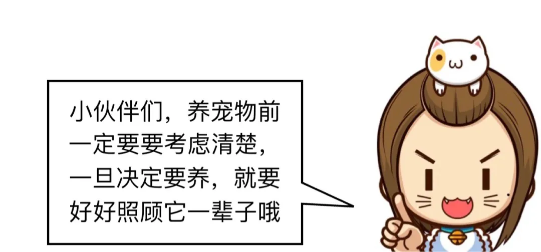 越秀｜一对想通过离婚解决问题的夫妻，遇到了养50只猫的邻居，奇怪的知识又增加了