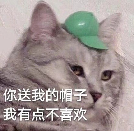 猫咪表情包合集｜你看我像猪吗