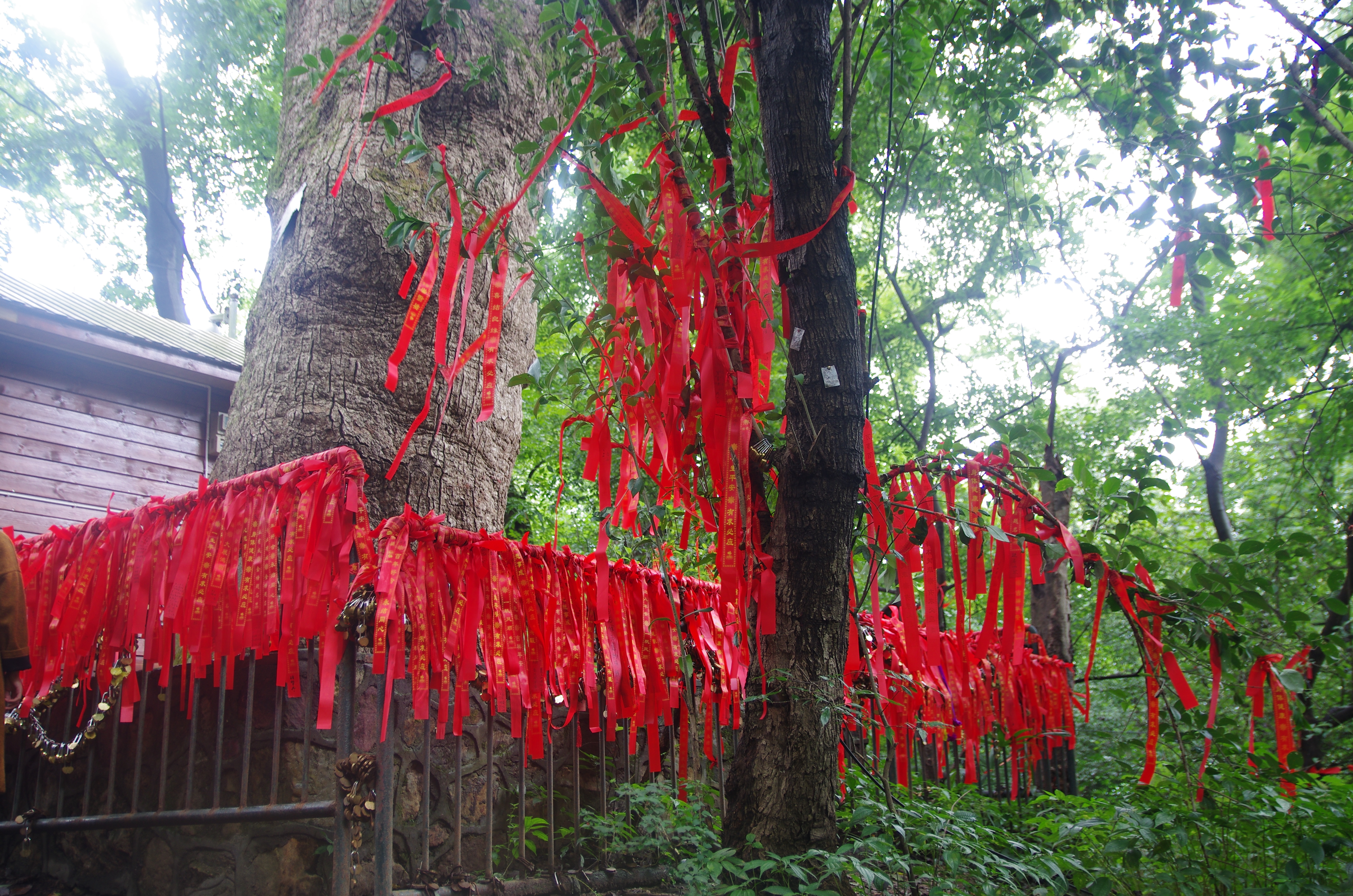 岳麓山的美，你要慢慢品味