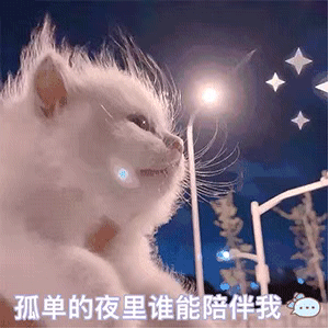 表情包：黑眼圈 是昨日心事的落款