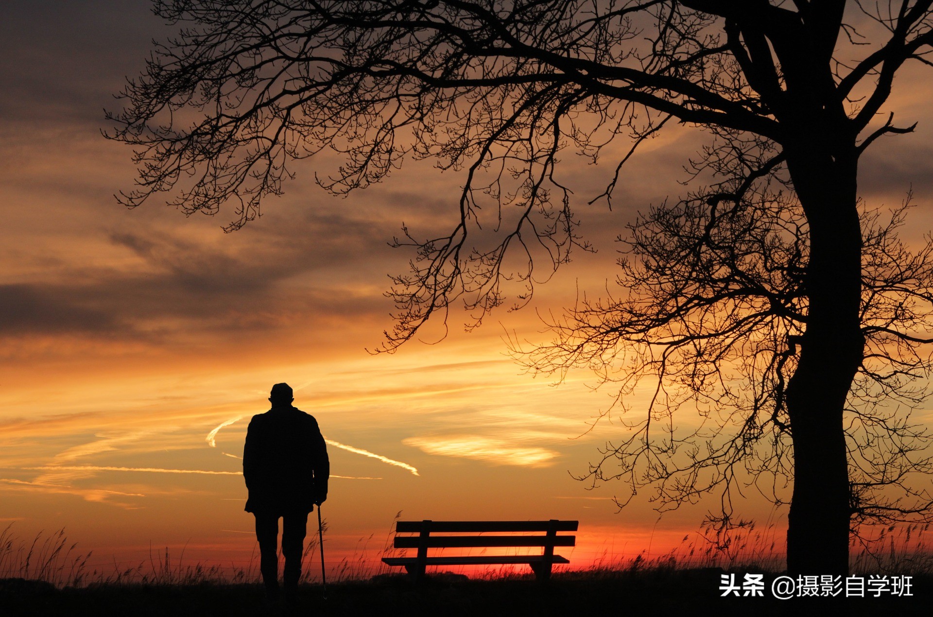 这么拍摄倒影，照片可能更好看！你学会了吗？附手机修出倒影教程