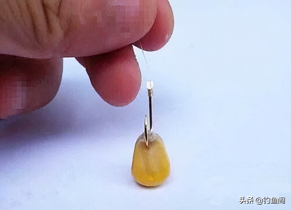 鱼钩和鱼线的秘密！了解这3种搭配方式，钓起鱼来得心应手