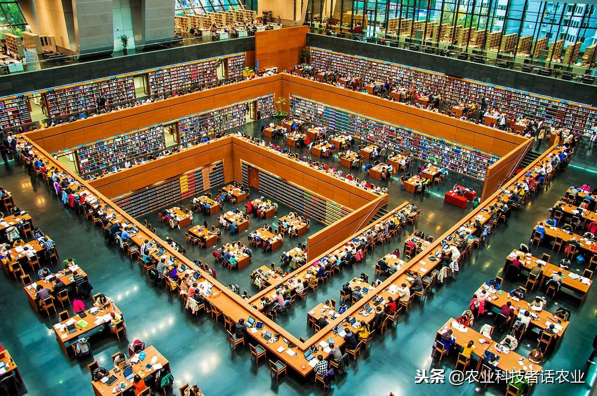 中国农大，荷兰农大，美国农大，日本农大，谁是世界第一农大