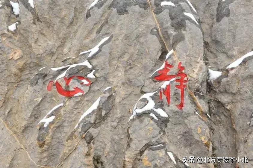 沧州师范学院：招生比2020年招生减少了200人